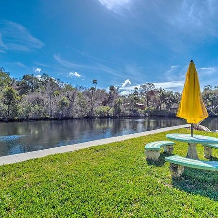 Withlacoochee River House With Dock And Kayaks! Yankeetown Ngoại thất bức ảnh