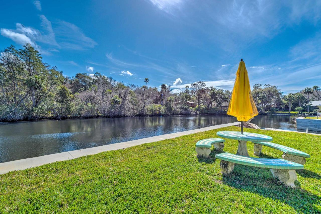 Withlacoochee River House With Dock And Kayaks! Yankeetown Ngoại thất bức ảnh